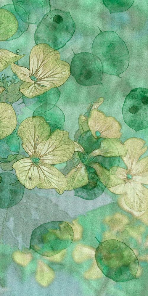 Image Only