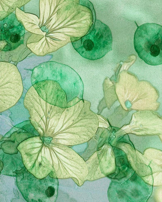 Image Only