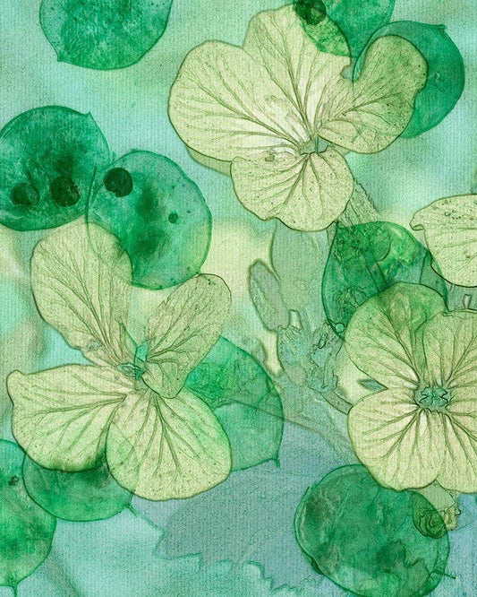 Image Only