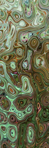 Creation II Black Ornate Wood Framed Art Print with Double Matting by Harrington, Danielle