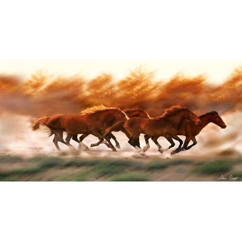 Blazing Herd II Black Modern Wood Framed Art Print by Drost, David