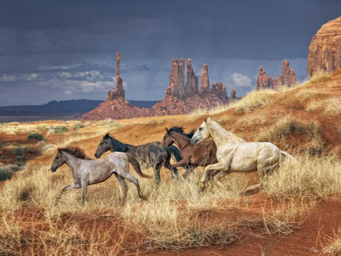 Monumental Run  White Modern Wood Framed Art Print with Double Matting by Drost, David