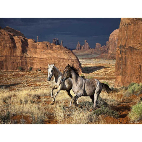 Best Friends White Modern Wood Framed Art Print by Drost, David