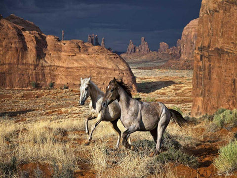 Best Friends White Modern Wood Framed Art Print with Double Matting by Drost, David