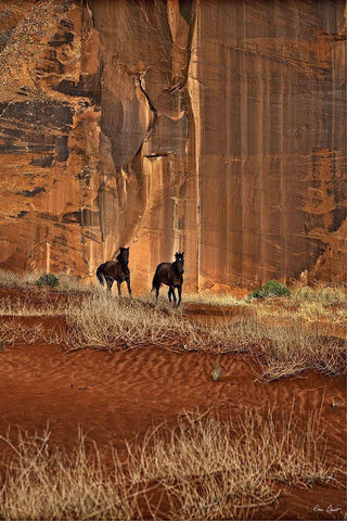 Custom Canyon Dewellers (ASH) White Modern Wood Framed Art Print with Double Matting by Drost, David