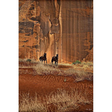 Custom Canyon Dewellers (ASH) White Modern Wood Framed Art Print by Drost, David