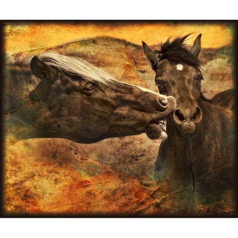 Kissing Horses I White Modern Wood Framed Art Print by Drost, David