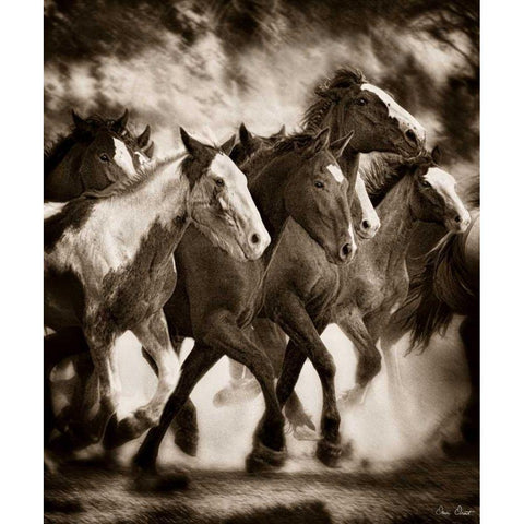 The March White Modern Wood Framed Art Print by Drost, David