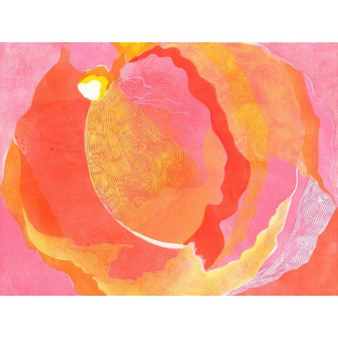 Cabbage Rose I White Modern Wood Framed Art Print by Roth, Carolyn