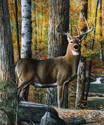 Broken Silence Black Ornate Wood Framed Art Print with Double Matting by Daniel, Kevin