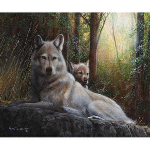 Recumbent Wolves Black Modern Wood Framed Art Print with Double Matting by Daniel, Kevin