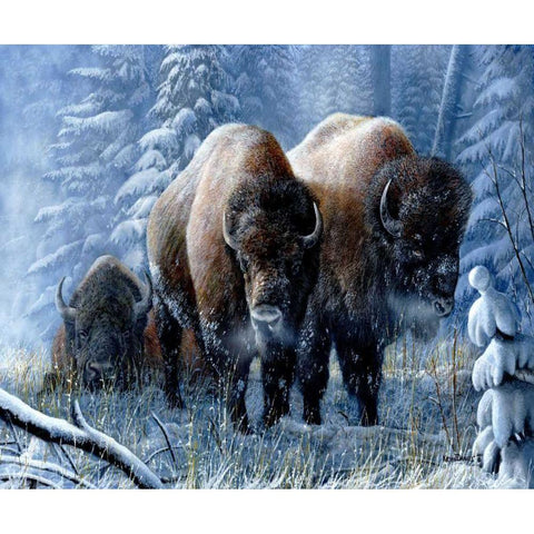 Winter Respite White Modern Wood Framed Art Print by Daniel, Kevin