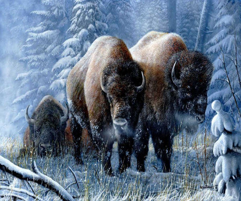 Winter Respite Black Ornate Wood Framed Art Print with Double Matting by Daniel, Kevin