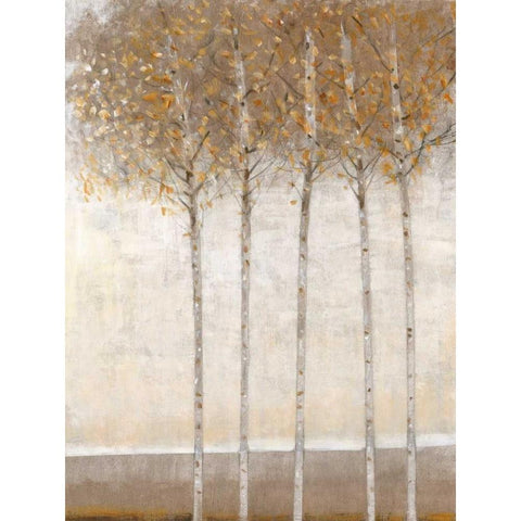 Early Fall I Black Modern Wood Framed Art Print with Double Matting by OToole, Tim