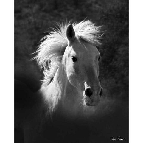 Horse Portrait V Gold Ornate Wood Framed Art Print with Double Matting by Drost, David