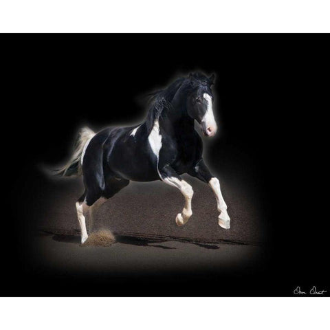 Horse Portrait VIII White Modern Wood Framed Art Print by Drost, David