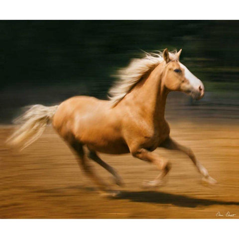 Blazing Horse I Gold Ornate Wood Framed Art Print with Double Matting by Drost, David