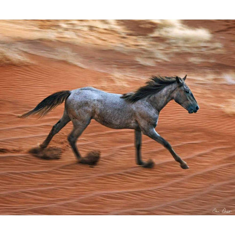 Blazing Horse II White Modern Wood Framed Art Print by Drost, David