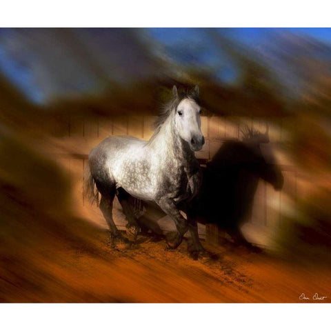 Blazing Horse III Black Modern Wood Framed Art Print with Double Matting by Drost, David