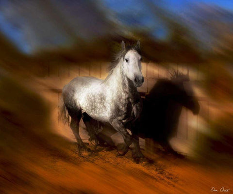 Blazing Horse III Black Ornate Wood Framed Art Print with Double Matting by Drost, David