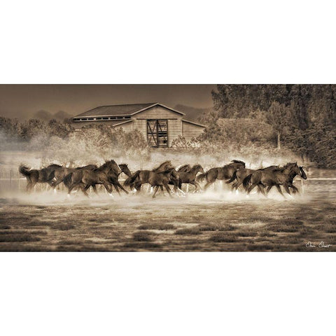 Custom A Dozen Quarters (ASH) Gold Ornate Wood Framed Art Print with Double Matting by Drost, David