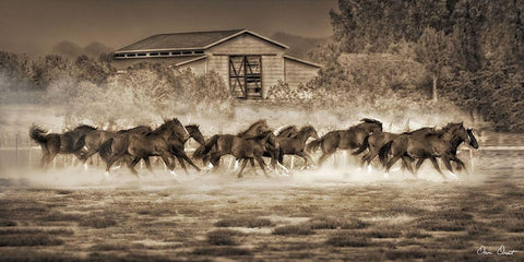 Custom A Dozen Quarters (ASH) White Modern Wood Framed Art Print with Double Matting by Drost, David