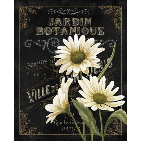 Botanical Collection I Black Modern Wood Framed Art Print by White, Abby