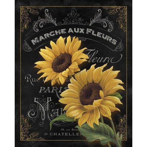 Botanical Collection II Black Modern Wood Framed Art Print by White, Abby