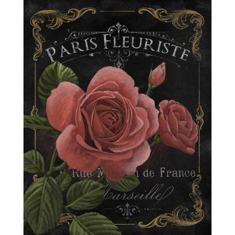 Botanical Collection III White Modern Wood Framed Art Print by White, Abby