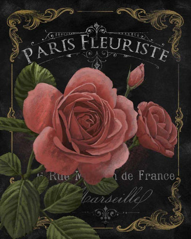 Botanical Collection III White Modern Wood Framed Art Print with Double Matting by White, Abby