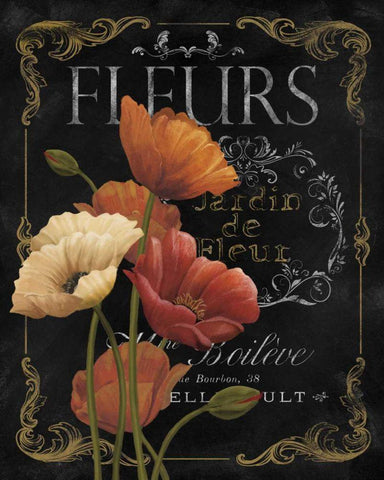 Botanical Collection IV Black Ornate Wood Framed Art Print with Double Matting by White, Abby