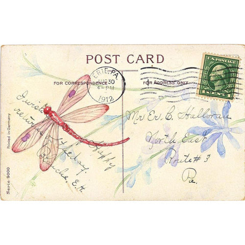 Postcard Dragonfly IV White Modern Wood Framed Art Print by Pallan, Nancy S.