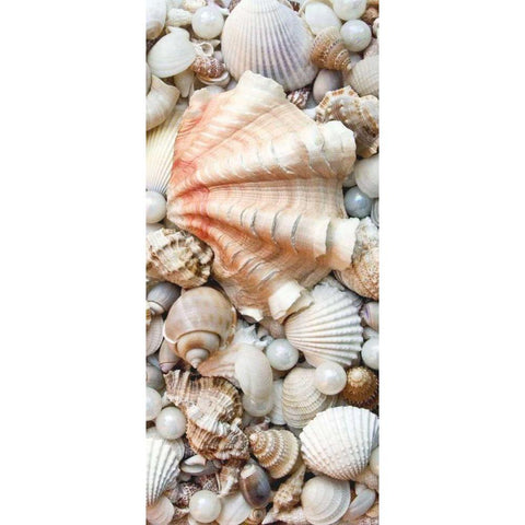 Shell Menagerie I Black Modern Wood Framed Art Print with Double Matting by Perry, Rachel