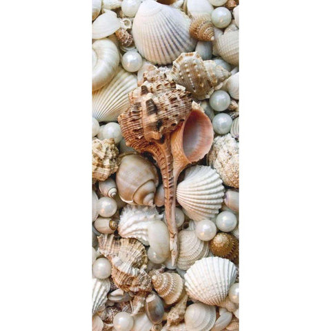 Shell Menagerie III White Modern Wood Framed Art Print by Perry, Rachel