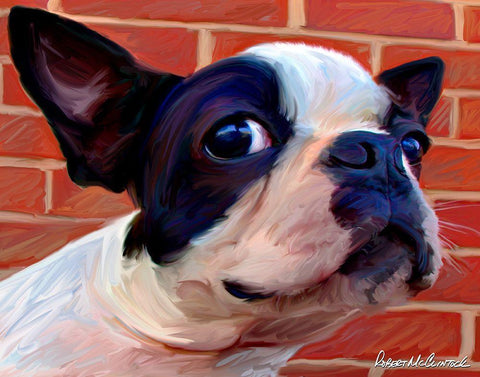 Boston Puppy White Modern Wood Framed Art Print with Double Matting by McClintock, Robert