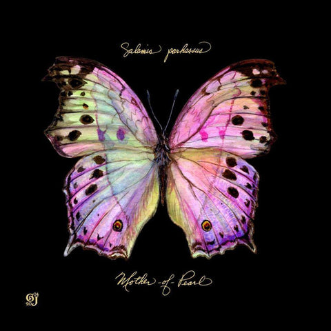 Striking Butterfly III Black Ornate Wood Framed Art Print with Double Matting by Joyner, Ginny