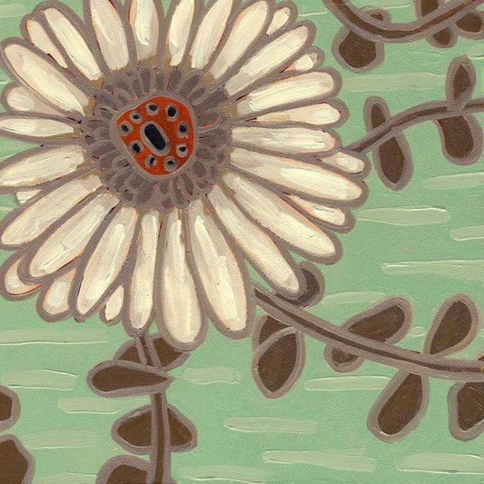 Image Only