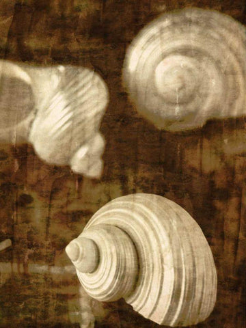 Pastel Quadrants I Black Ornate Wood Framed Art Print with Double Matting by Mountain, Ricki