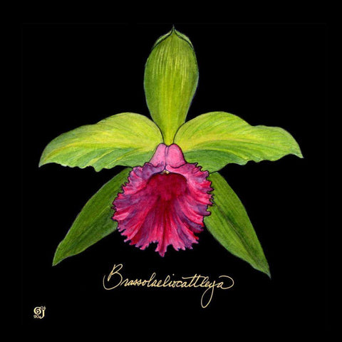 Vivid Orchid I White Modern Wood Framed Art Print with Double Matting by Joyner, Ginny