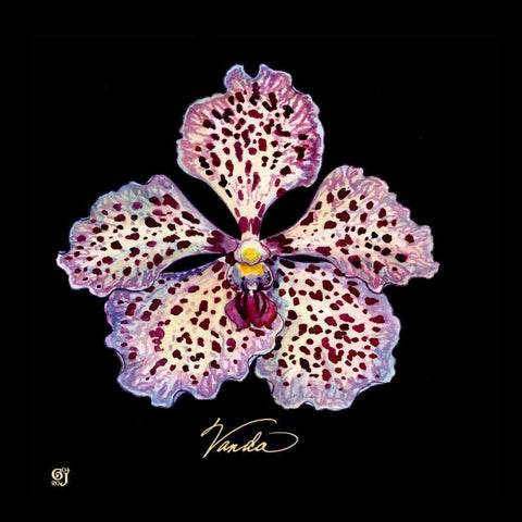 Vivid Orchid V White Modern Wood Framed Art Print with Double Matting by Joyner, Ginny