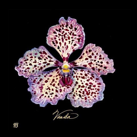 Vivid Orchid V White Modern Wood Framed Art Print by Joyner, Ginny