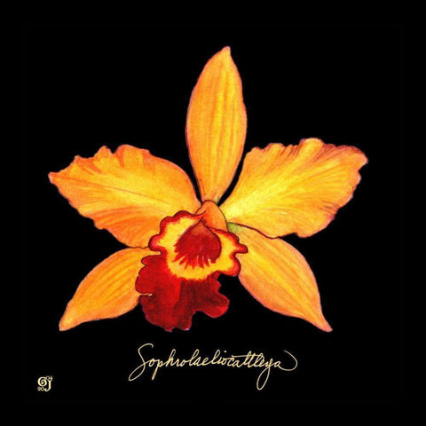 Vivid Orchid VI Black Modern Wood Framed Art Print by Joyner, Ginny