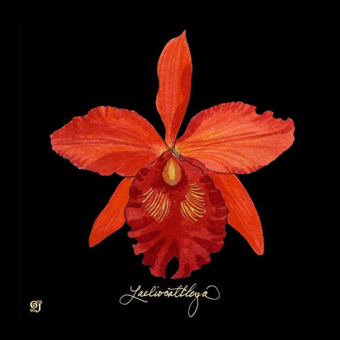 Vivid Orchid IX Black Modern Wood Framed Art Print with Double Matting by Joyner, Ginny