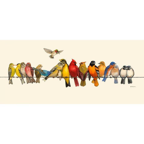 Bird Menagerie I White Modern Wood Framed Art Print by Russell, Wendy