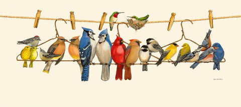 Bird Menagerie II White Modern Wood Framed Art Print with Double Matting by Russell, Wendy