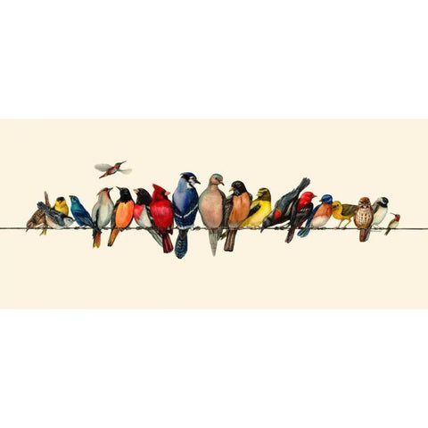 Bird Menagerie III White Modern Wood Framed Art Print by Russell, Wendy