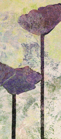 Quad Poppy I White Modern Wood Framed Art Print with Double Matting by Mountain, Ricki