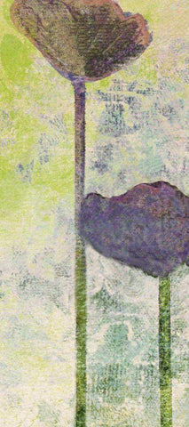 Quad Poppy II White Modern Wood Framed Art Print with Double Matting by Mountain, Ricki