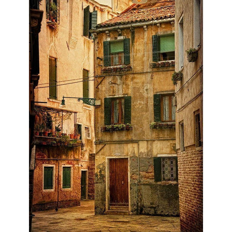 Venice Snapshots III White Modern Wood Framed Art Print by Head, Danny