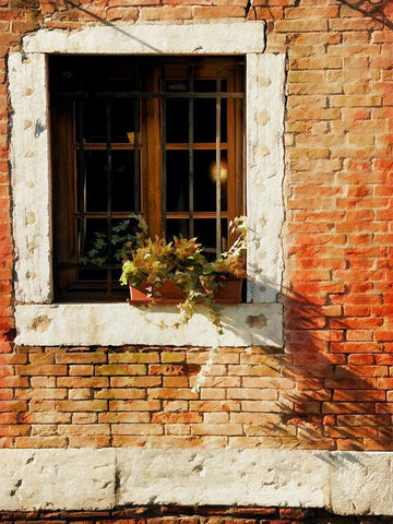 Venice Snapshots V Black Ornate Wood Framed Art Print with Double Matting by Head, Danny